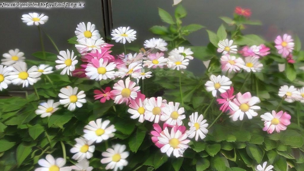 다양한 장르의 음반들이 진열된 레코드샵 안에서 헤드폰을 끼고 만족스러운 표정으로 레코드판을 고르고 있는 한국인 남성