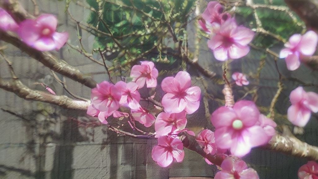 다양한 취미 활동을 즐기는 한국인들의 모습 (홈카페, 베이킹, 식물 키우기, 공예)