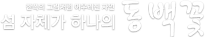 여수 오동도 등대로 가는 숲길, 양옆으로 붉은 동백꽃이 만발한 모습